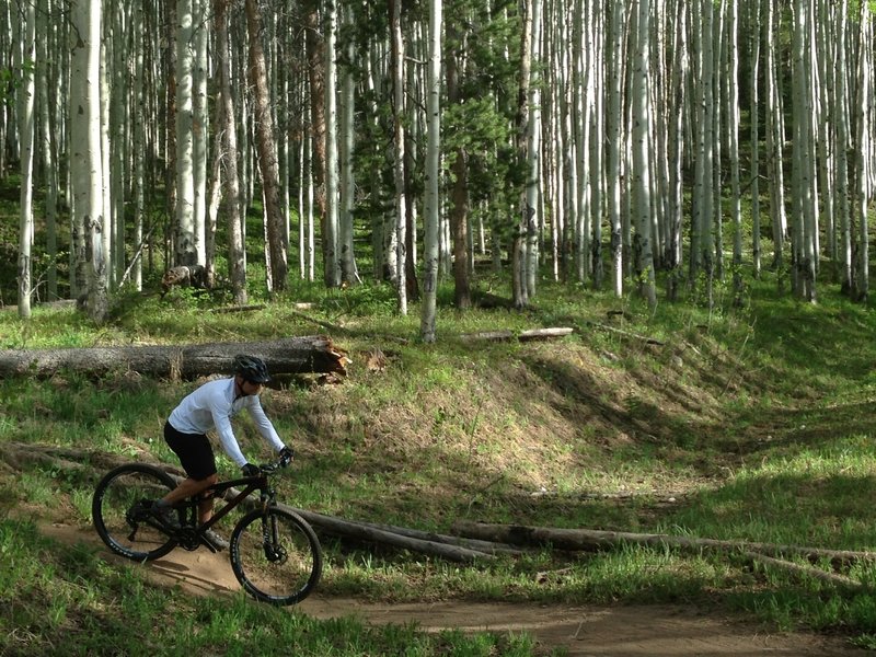 Cruising down a short open section of Hank's before diving back into the Aspens.