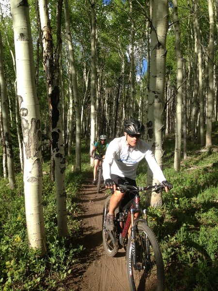 Heading through the aspen tunnel.