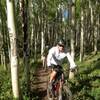 Heading through the aspen tunnel.