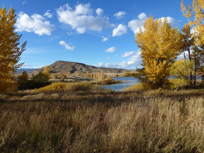 Looking from the parking area to the ridge line where all the Outlaw area trails are.