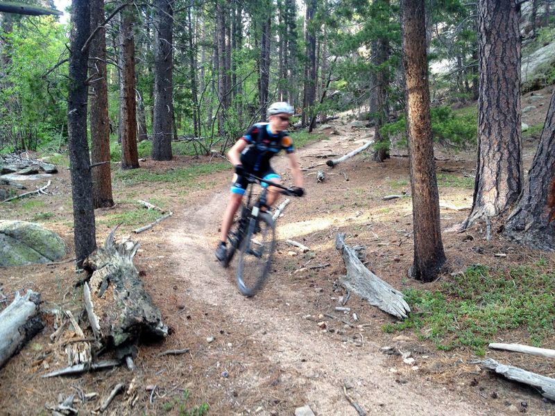Fast and fun singletrack section