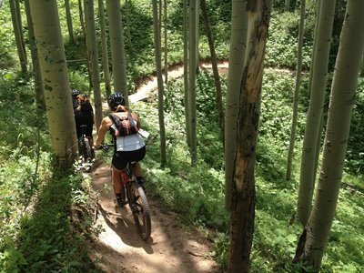 Great flow through the trees!