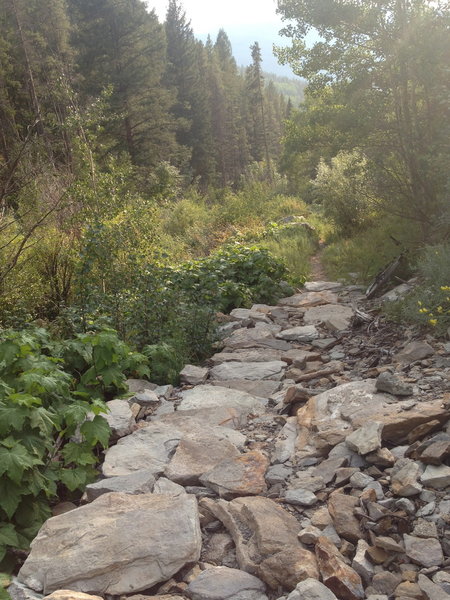 A 50' technical section where a cliff has broken apart above the trail.  Ridable for some and easy to walk for others.