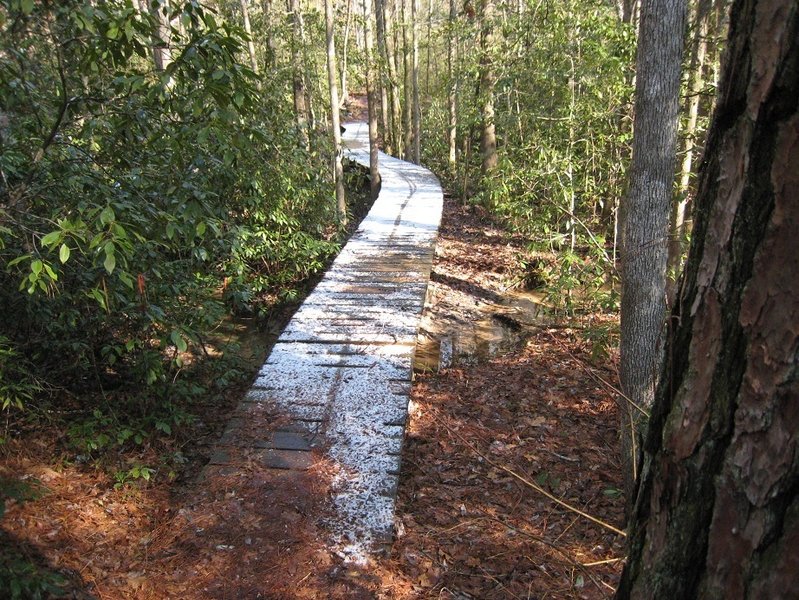 Bog bridge with snow on the Tashka Trail.