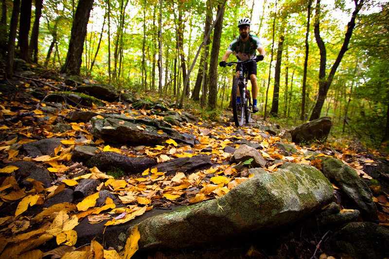 Rocks! Rocks! Rocks! Rattling Creek has classic East Coast trail texture.