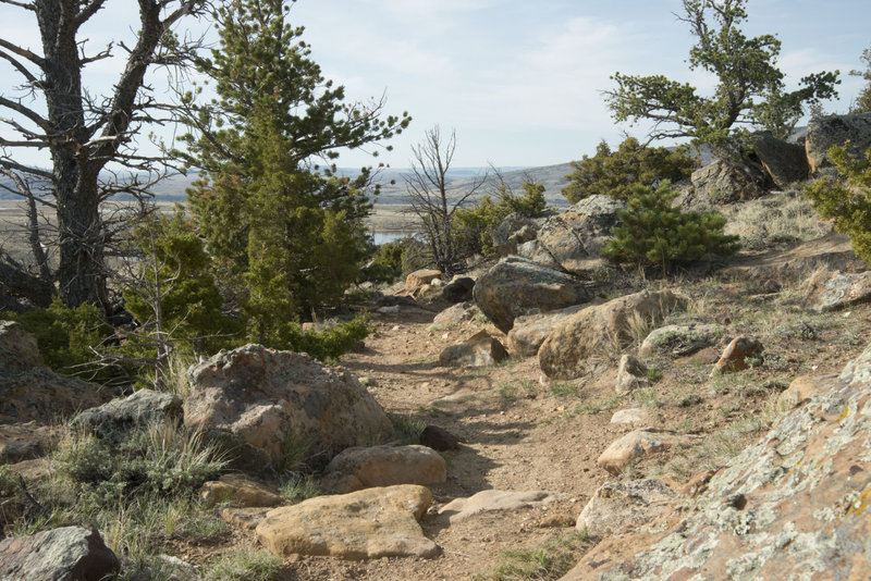 This trail has a great solid tread and no room to wander off in many places. It makes for more fun that way.