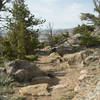 This trail has a great solid tread and no room to wander off in many places. It makes for more fun that way.