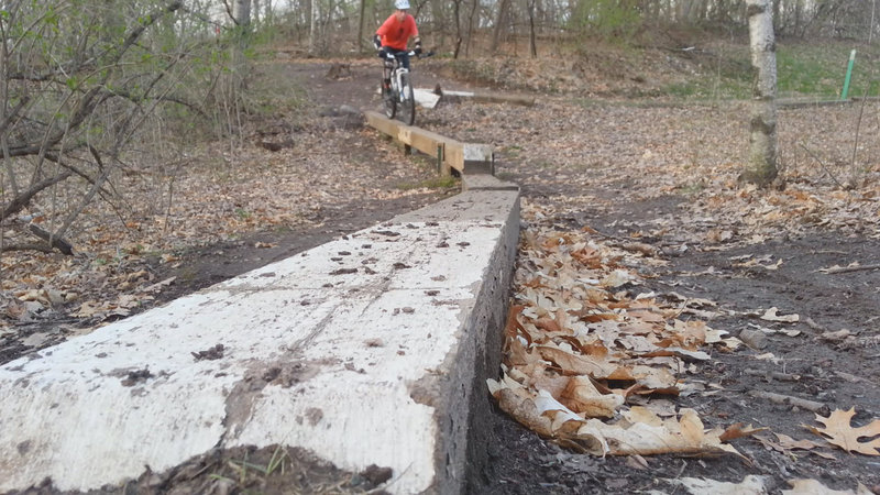 Triple beam skinny: angled, raised and stepped; west loop, Carver Lake MTB trail