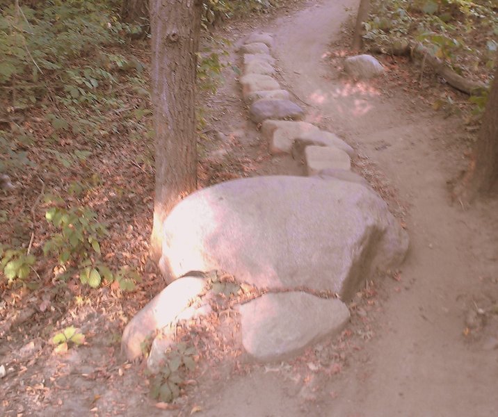 Optional rock obstacle, west loop, Carver Lake MTB trail