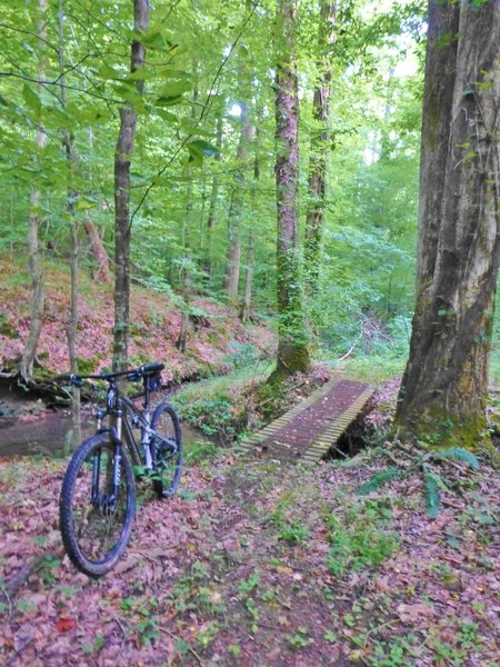 Trail Bridge on the Holt Cemetery Trail