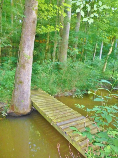 Trail Bridge over the beaver pond on Sulphur Spring Branch