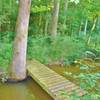 Trail Bridge over the beaver pond on Sulphur Spring Branch