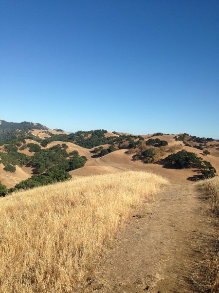 Southeast viewpoint from one vista of Twin trail.