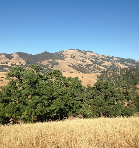 Western view on one vista of Twin Trail.