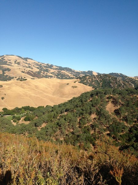 Western viewpoint of Castle Rock Park from Vista point.