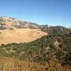 Western viewpoint of Castle Rock Park from Vista point.