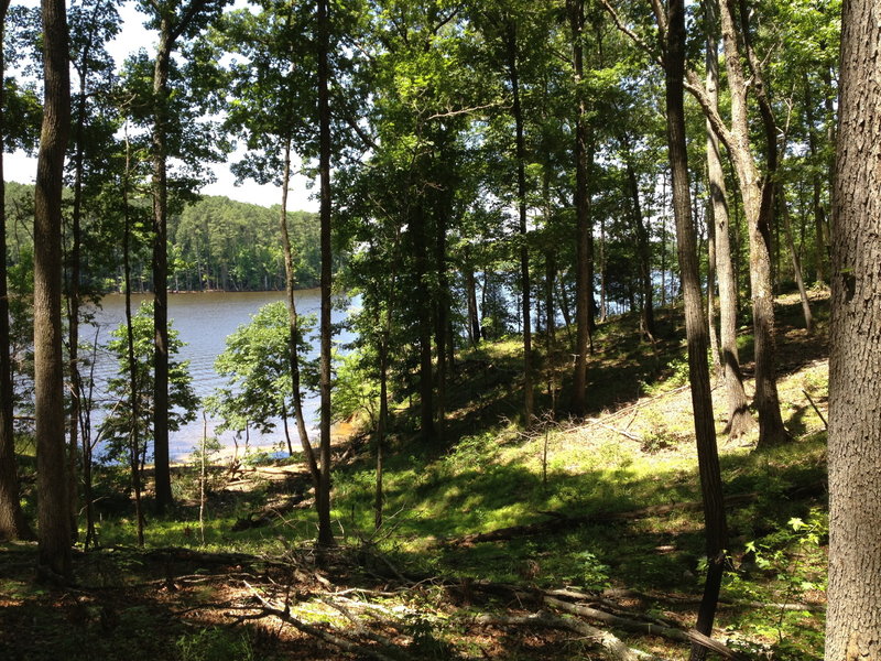 View of Falls lake