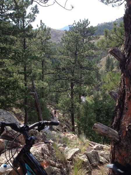 Looking down on the hike-a-bike section.  Steep steps down to / up from the creek below.