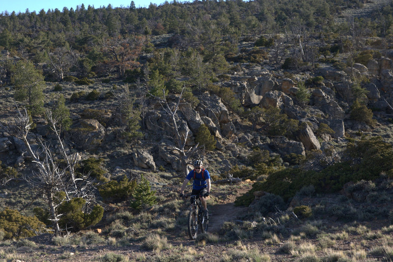 Sandstone and Juniper makes for great riding terrain on the Outlaw trail.