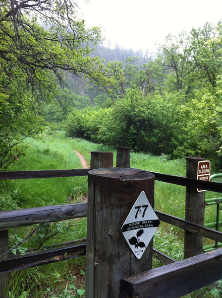 A u turn gate.  Looking east..