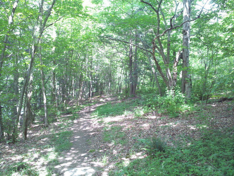 Lakeshore Trail