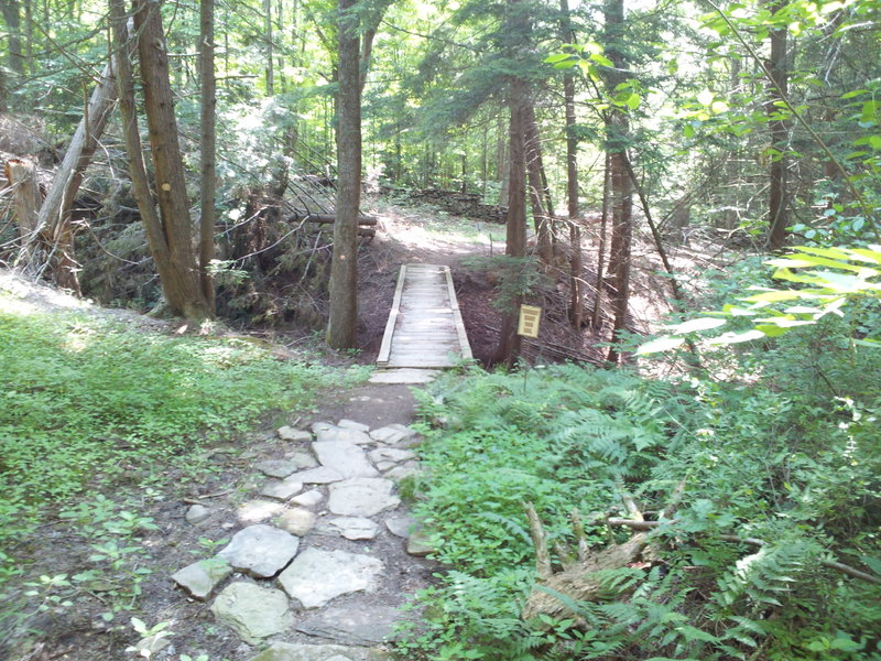 Bridge crossing (500lb Limit!) and rock wall.