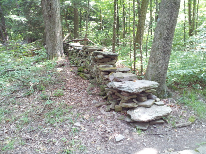 Rock wall along the trail