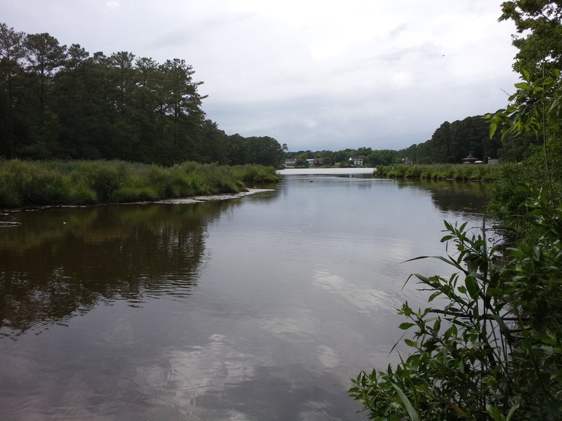 Most of the trail runs next to still water. If you slow down, the mosquitoes will attack!