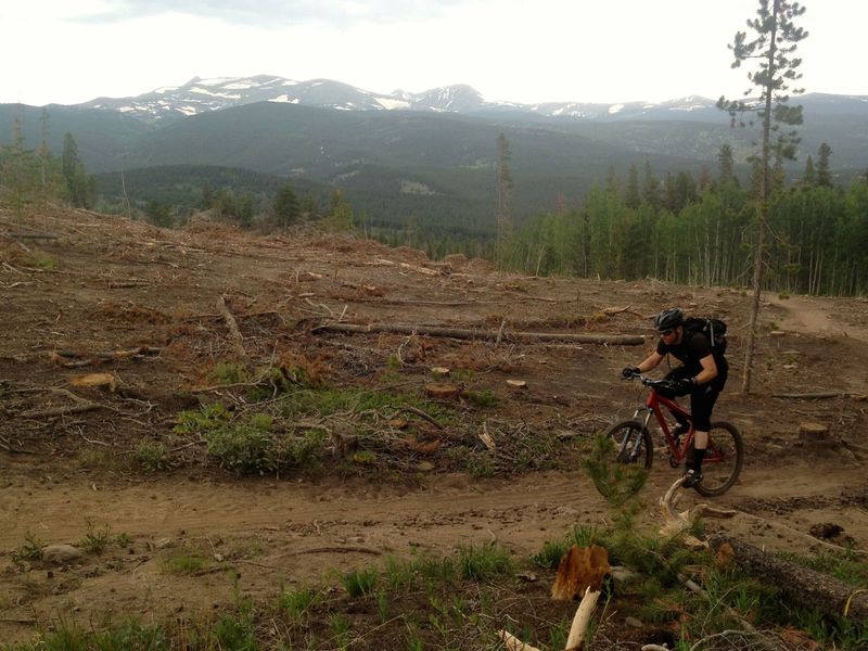 One of the many HUGE clearcuts in the area.  Damn pine-bark beetles...