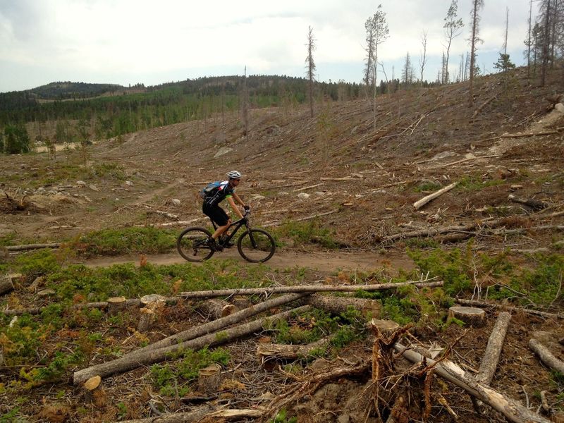 This used to be such a nice forested trail... pine bark beetles killed it all.