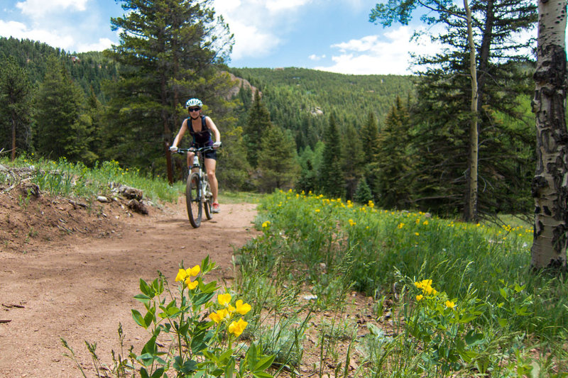 Wide trails make for easy climbing and passing. Tons of flowers out in the meadows.