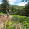 Wide trails make for easy climbing and passing. Tons of flowers out in the meadows.