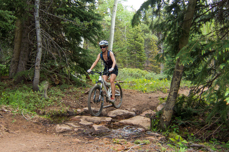 Most of the technical aspects of Mason Creek Trail are a few stream crossings. Easily doable for intermediate riders.