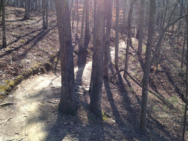 The Dwelling Loop has mellow climbs and descents.