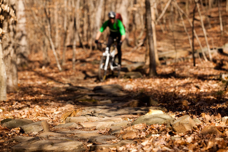 Rocks and roots are a welcome Challenge on the South Loop