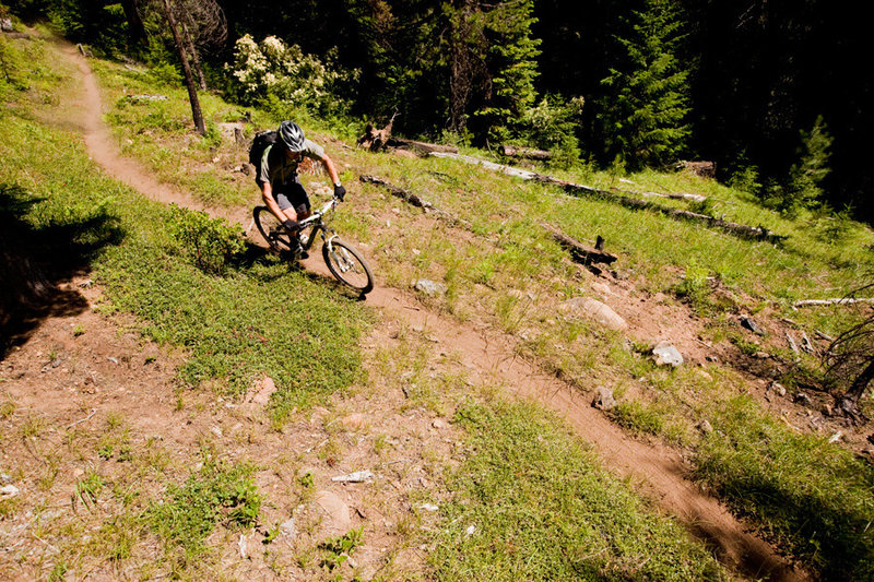 The eastern end of the Umpqua Trail near Lemolo Lake has a very alpine setting.