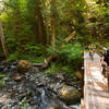 Bridge crossing after an amazing descent on the Deer Leap segment.