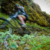 It's fast and fun on the North Umpqua Trail