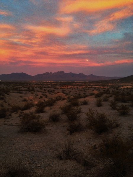 Organ Mountains at sunset