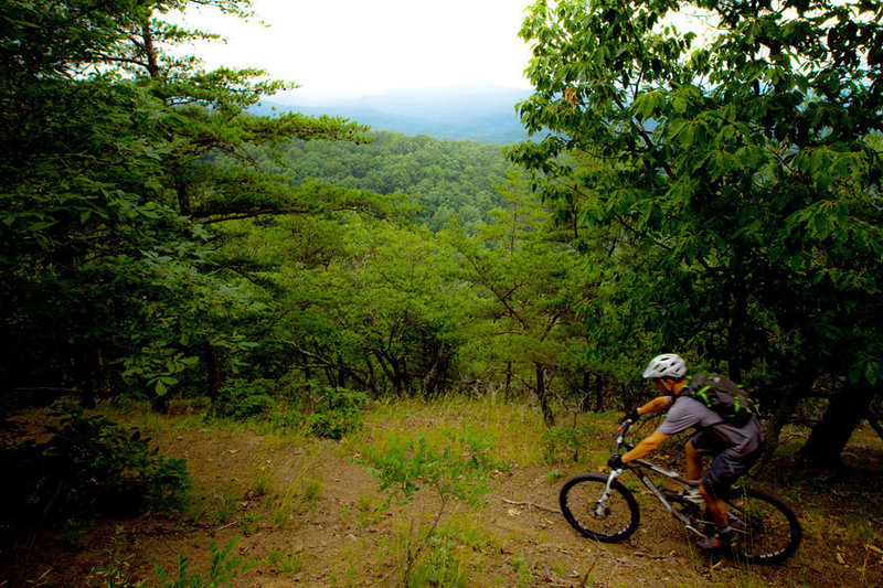 When the canopy opens up along the Southern Traverve, the views are spectacular.