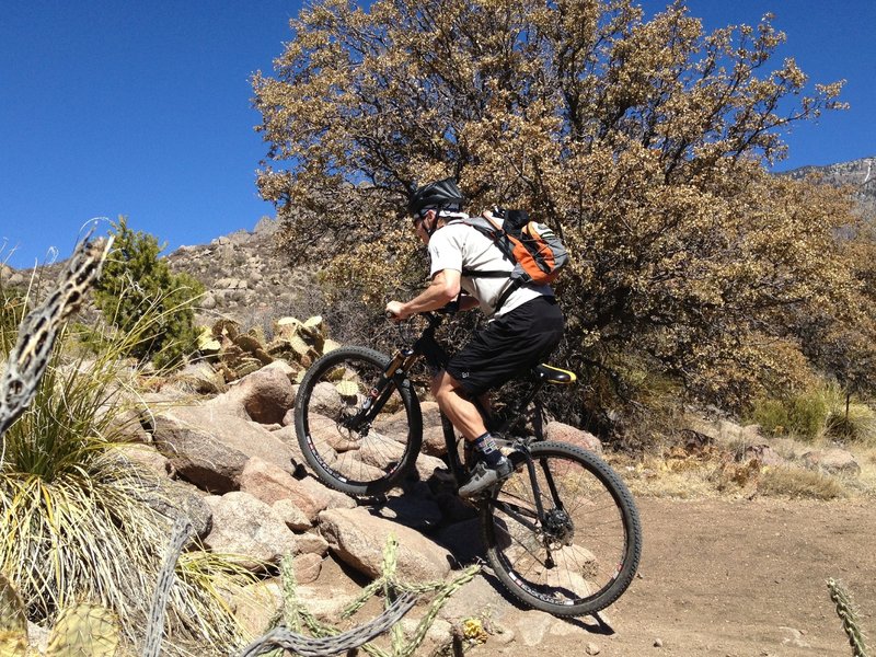 Starting up the rock ramp exiting to arroyo