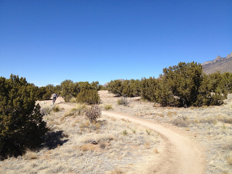 Lance riding smooth singletrack on the lower portion of the loop