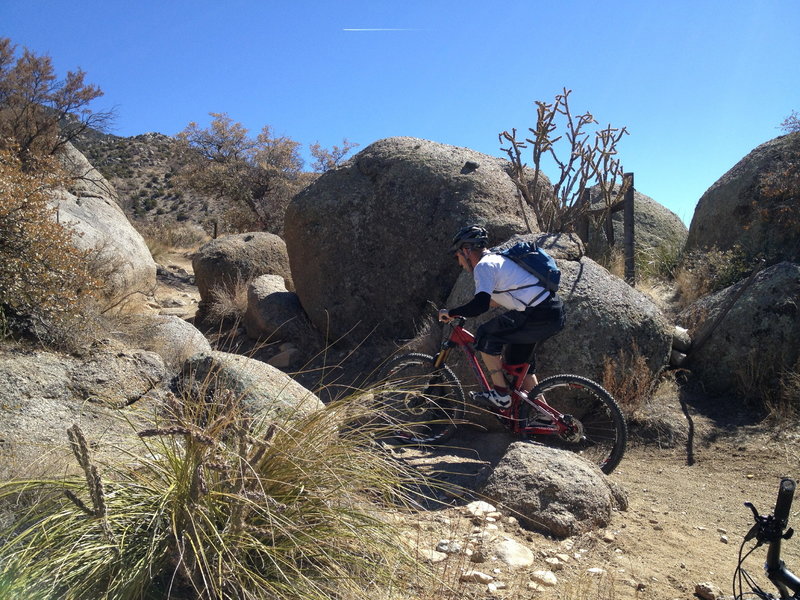 Lance weaving through rocks on the way back to the parking area