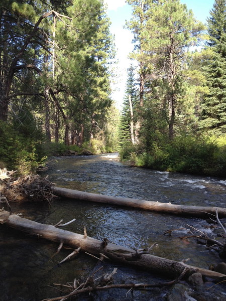 Shevlin Park with Tumalo Creek.