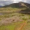 Riders during the Quick n Dirty XC race at the San Dieguito River Park.