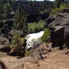 Dillion Falls from the Deschutes River Trail