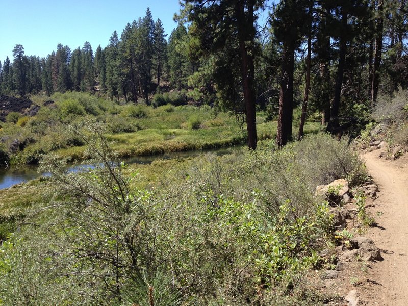 Contrary to most of the photos, there are a few technical sections, and some exposure on the trail, but mostly smooth.