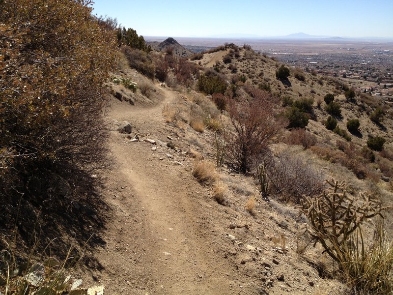 Narrow trail wrapping around the hillside overlooking the city