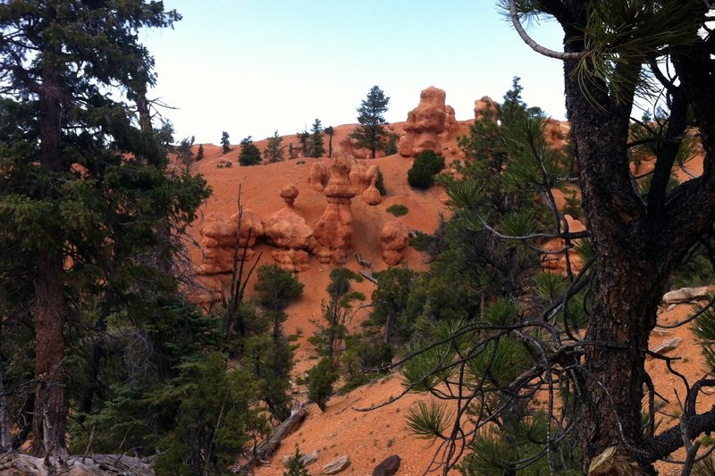 See the faces in the Hoodoos