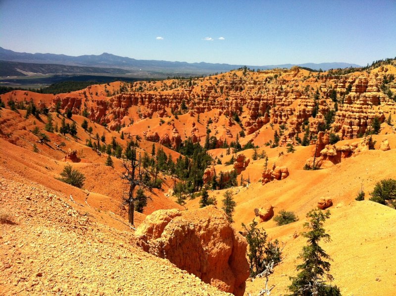 A grand view of the sunlight reflecting off the "orangesicle" dirt and rock.